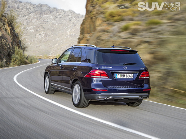 gle3.jpg