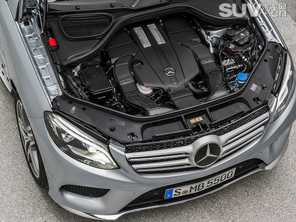 gle1.jpg