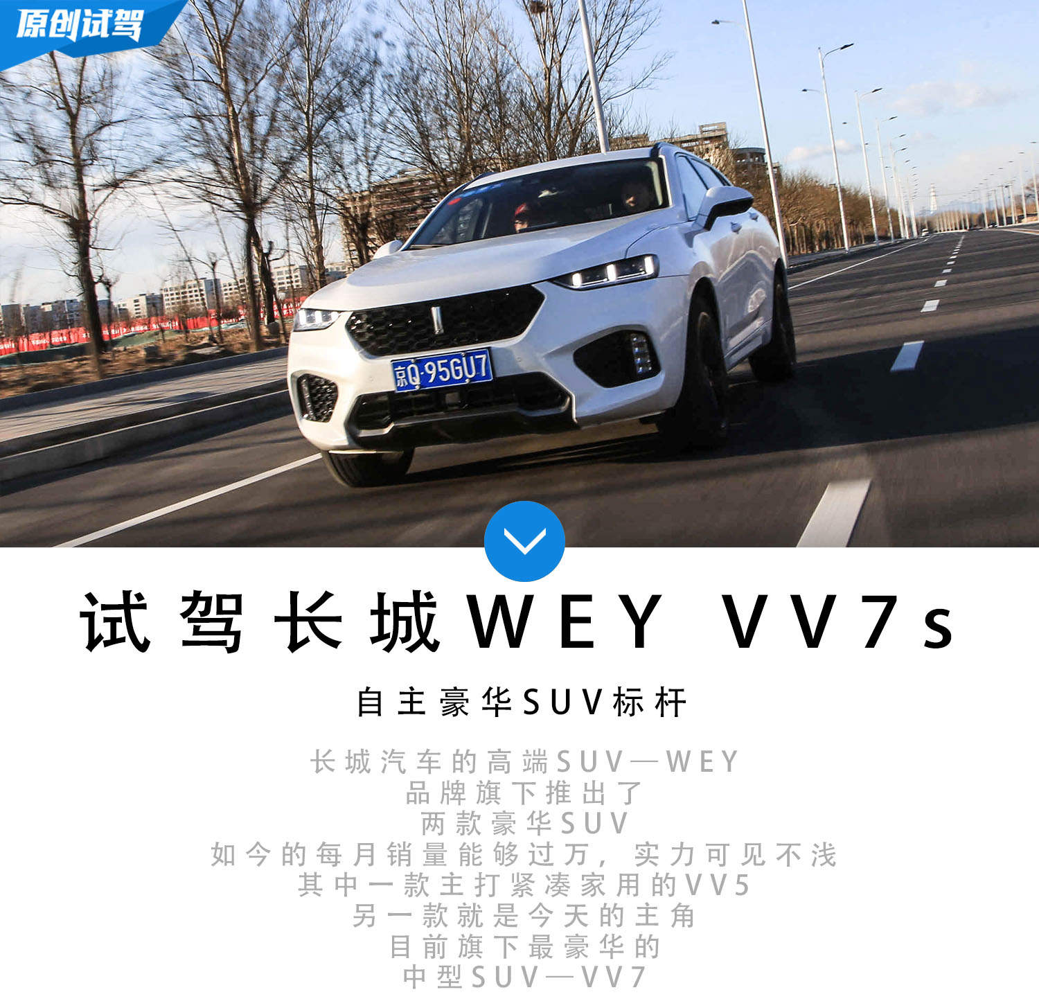 SUV     ԼݳWEY VV7s